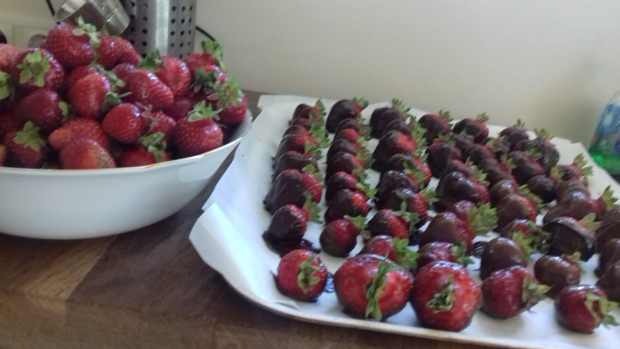 954c3991 66ac 410a 989a 54eaebaed8b0